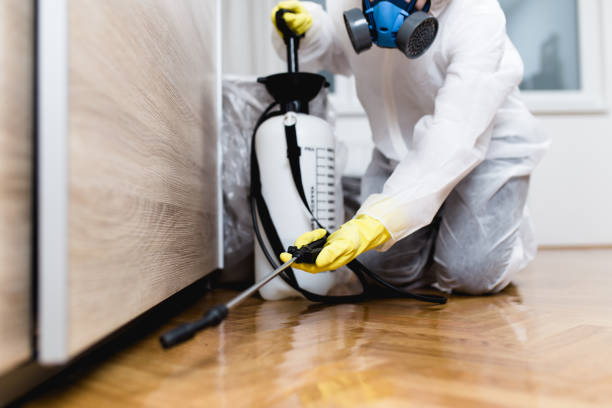 Trusted Spencerville, MD Pest Control Experts