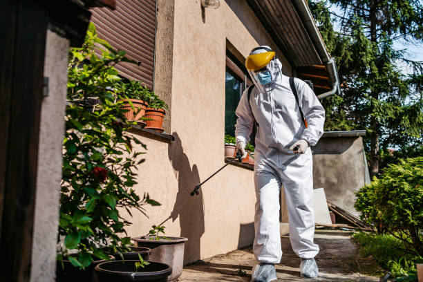 Best Exterminator Services  in Spencerville, MD