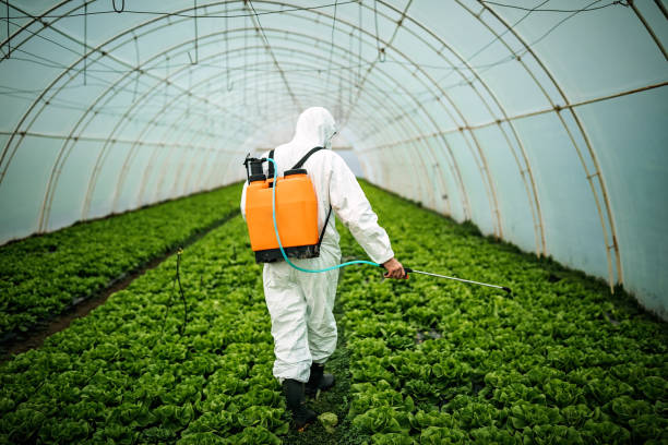 Best Pest Control for Restaurants  in Spencerville, MD