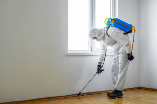 Wasp Removal Services in Spencerville, MD
