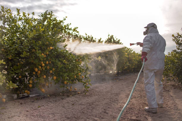 Best Affordable Pest Control Services  in Spencerville, MD