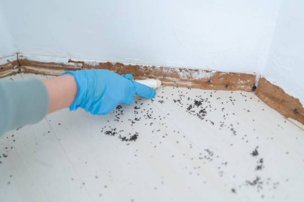 Best Pest Prevention Services  in Spencerville, MD