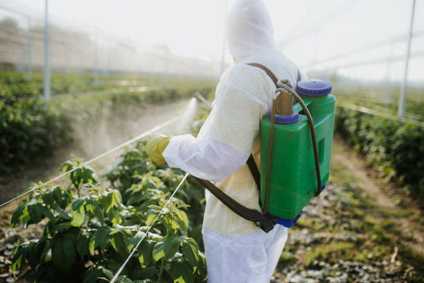Wildlife Control Services in Spencerville, MD